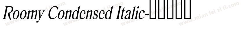 Roomy Condensed Italic字体转换